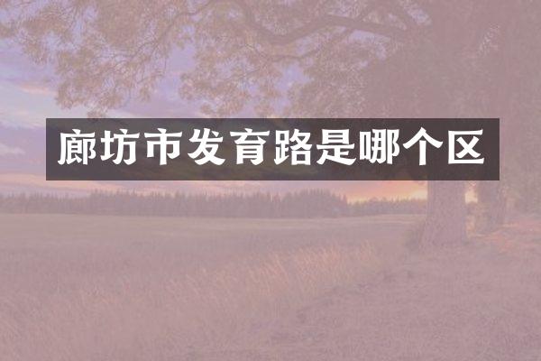 廊坊市发育路是哪个区