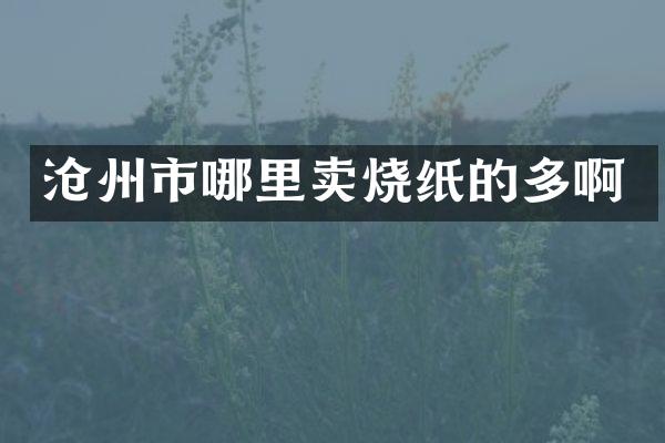 沧州市哪里卖烧纸的多啊