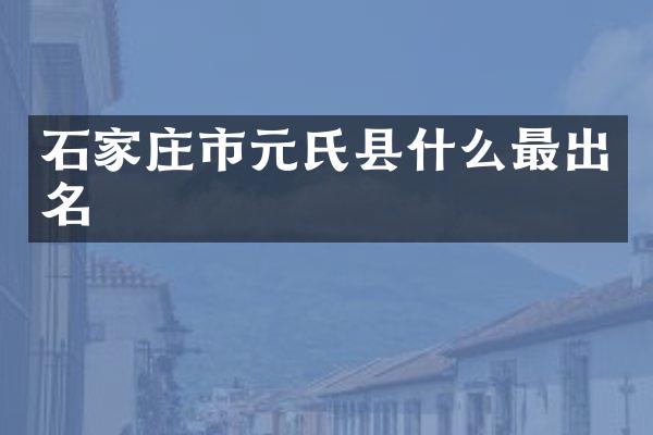 石家庄市元氏县什么最出名