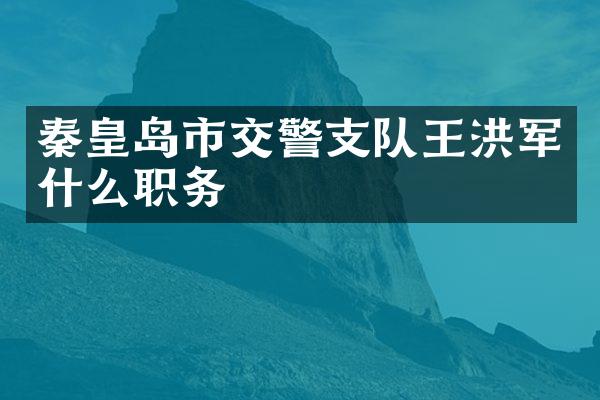 秦皇岛市交警支队王洪军什么职务