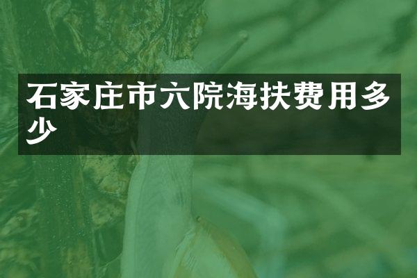 石家庄市六院海扶费用多少