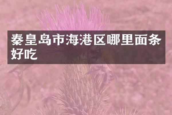 秦皇岛市海港区哪里面条好吃