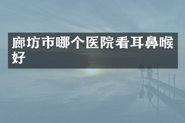 廊坊市哪个医院看耳鼻喉好