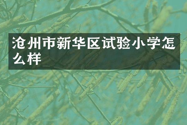 沧州市新华区试验小学怎么样