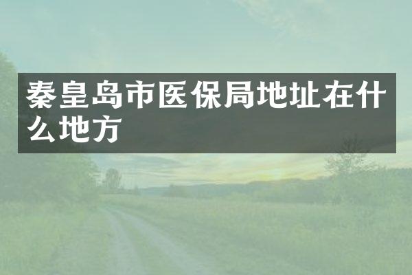 秦皇岛市医保局地址在什么地方