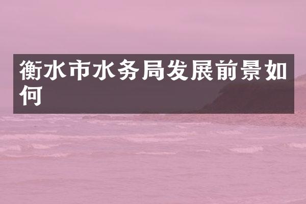 衡水市水务局发展前景如何