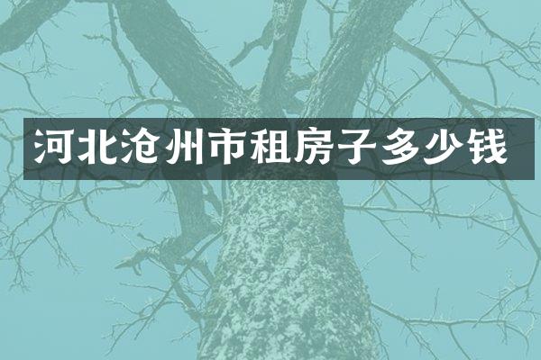 河北沧州市租房子多少钱