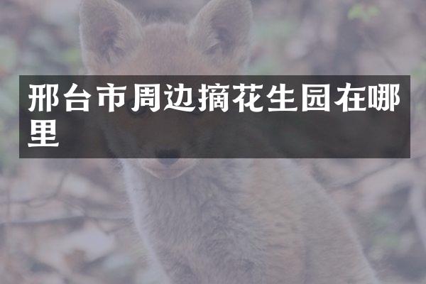 邢台市周边摘花生园在哪里