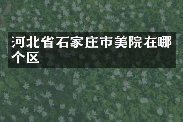 河北省石家庄市美院在哪个区