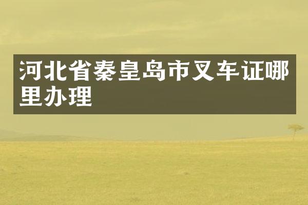 河北省秦皇岛市叉车证哪里办理