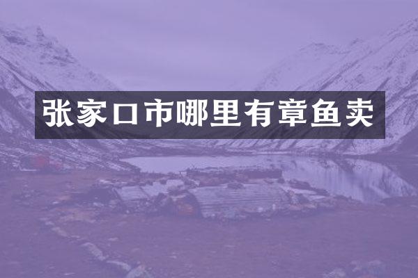 张家口市哪里有章鱼卖