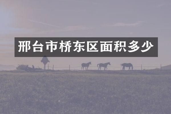 邢台市桥东区面积多少