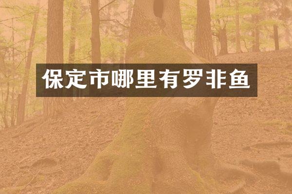 保定市哪里有罗非鱼