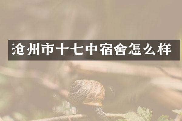 沧州市十七中宿舍怎么样
