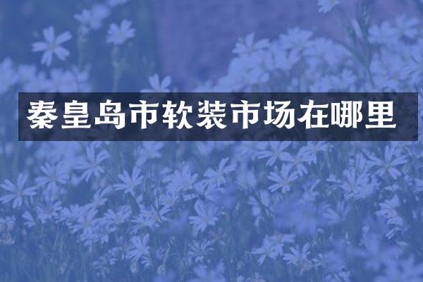 秦皇岛市软装市场在哪里