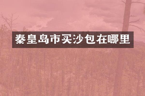 秦皇岛市买沙包在哪里
