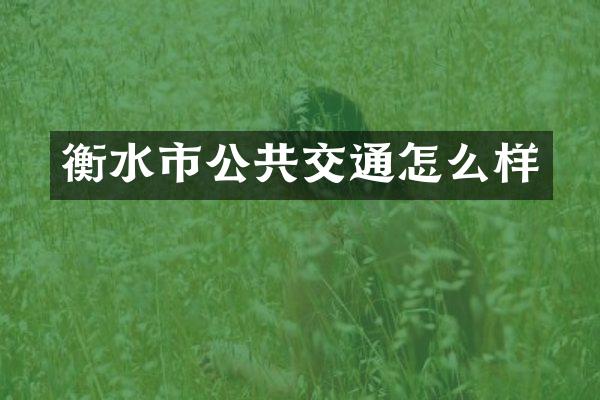 衡水市公共交通怎么样