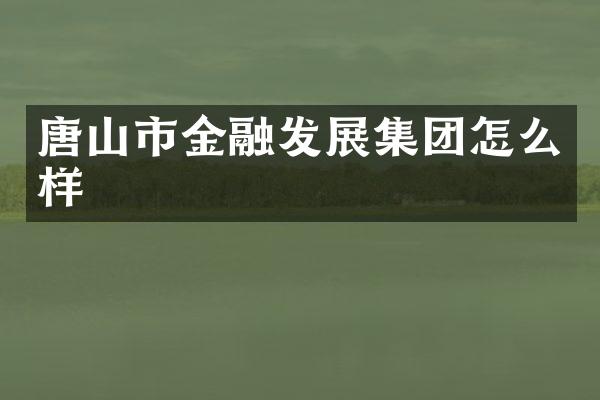 唐山市金融发展集团怎么样