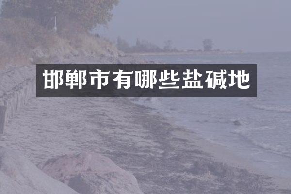 邯郸市有哪些盐碱地