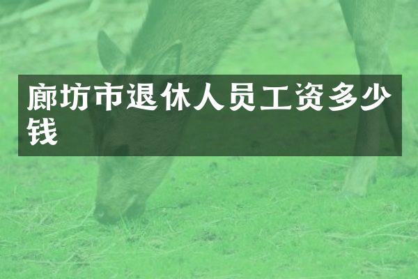 廊坊市退休人员工资多少钱