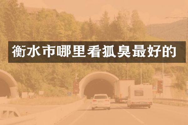 衡水市哪里看狐臭最好的