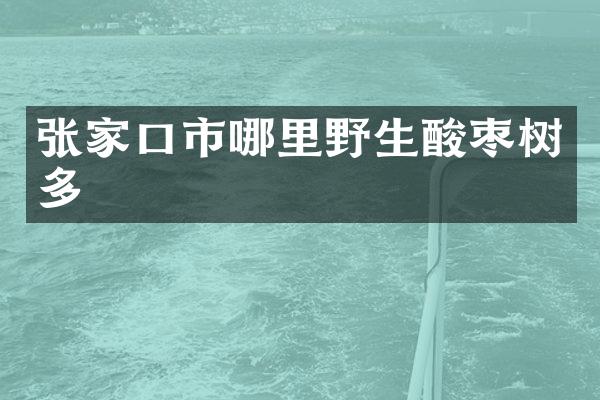 张家口市哪里野生酸枣树多