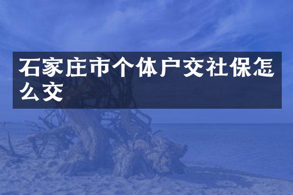 石家庄市个体户交社保怎么交