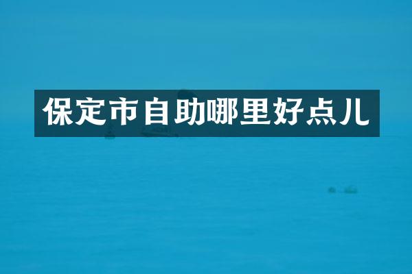 保定市自助哪里好点儿