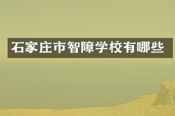 石家庄市智障学校有哪些