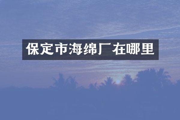 保定市海绵厂在哪里