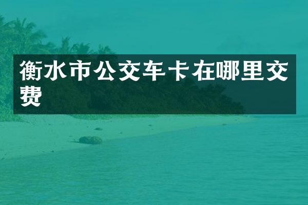 衡水市公交车卡在哪里交费