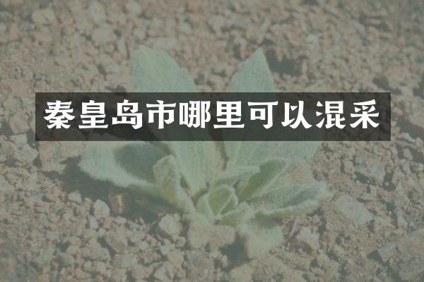 秦皇岛市哪里可以混采