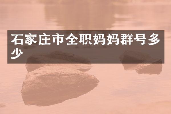 石家庄市全职妈妈群号多少