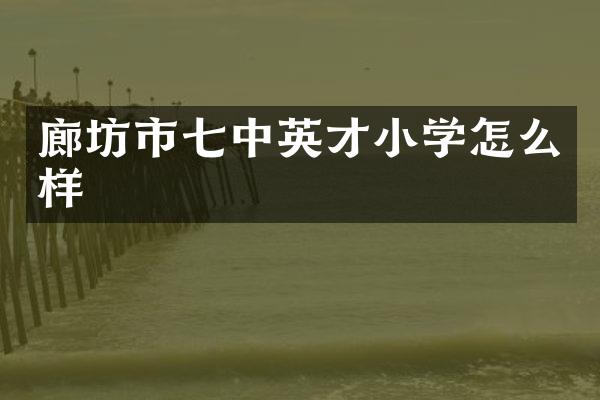 廊坊市七中英才小学怎么样