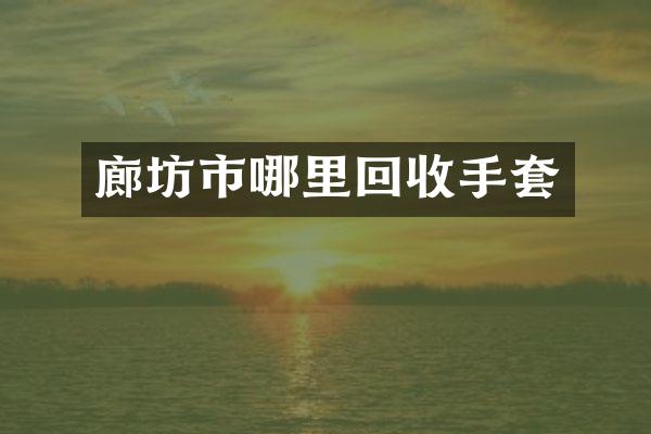 廊坊市哪里回收手套