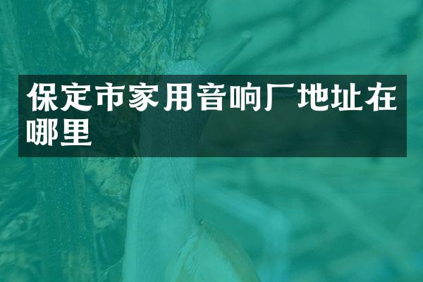 保定市家用音响厂地址在哪里