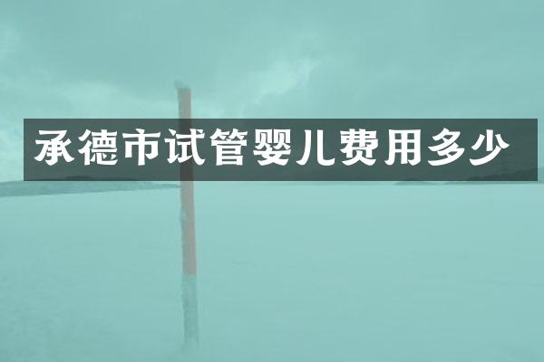 承德市试管婴儿费用多少