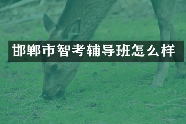 邯郸市智考辅导班怎么样