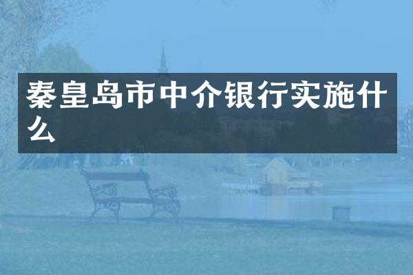 秦皇岛市中介银行实施什么