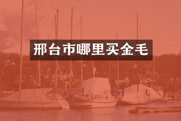 邢台市哪里买金毛