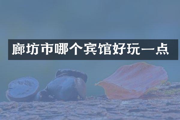 廊坊市哪个宾馆好玩一点