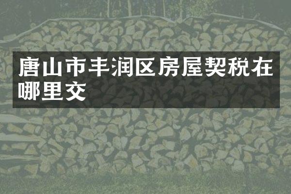 唐山市丰润区房屋契税在哪里交