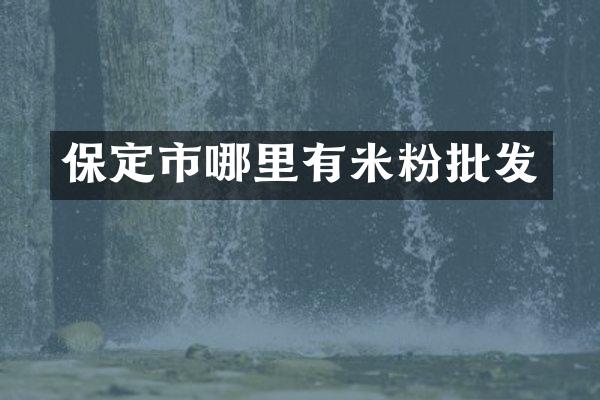 保定市哪里有米粉批发
