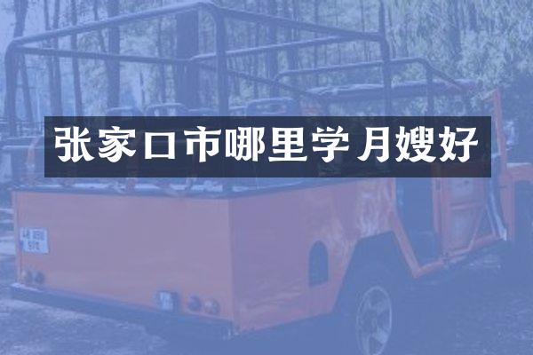 张家口市哪里学月嫂好