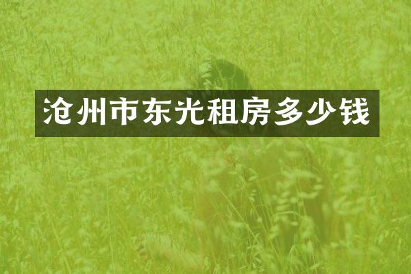 沧州市东光租房多少钱
