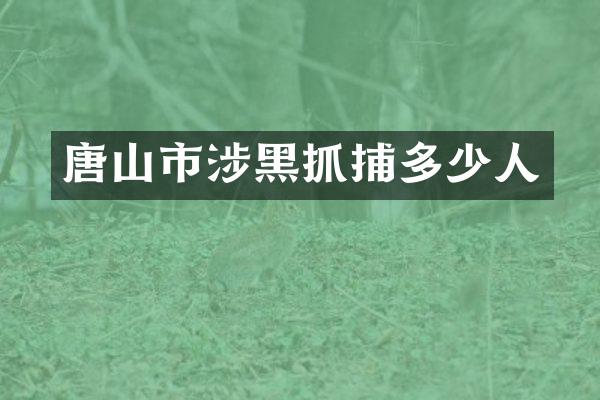唐山市涉黑抓捕多少人
