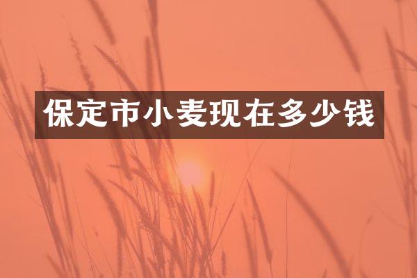 保定市小麦现在多少钱