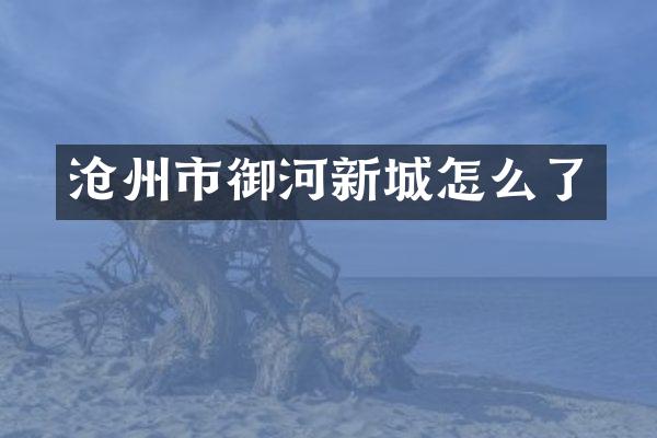 沧州市御河新城怎么了