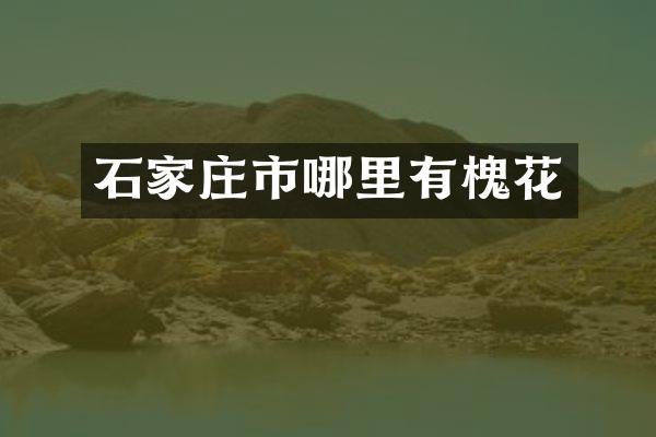 石家庄市哪里有槐花