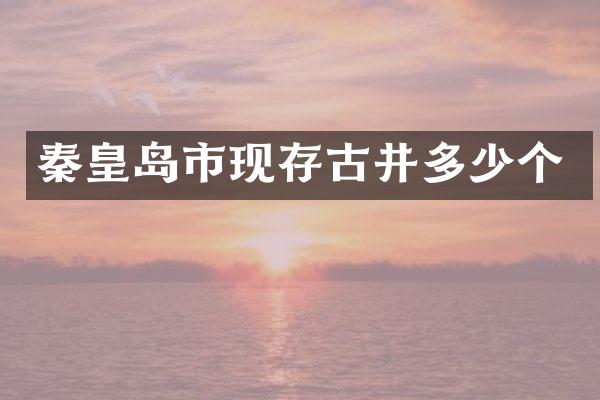 秦皇岛市现存古井多少个